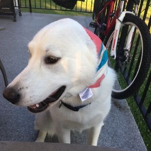 Meet your Posher, Rhy